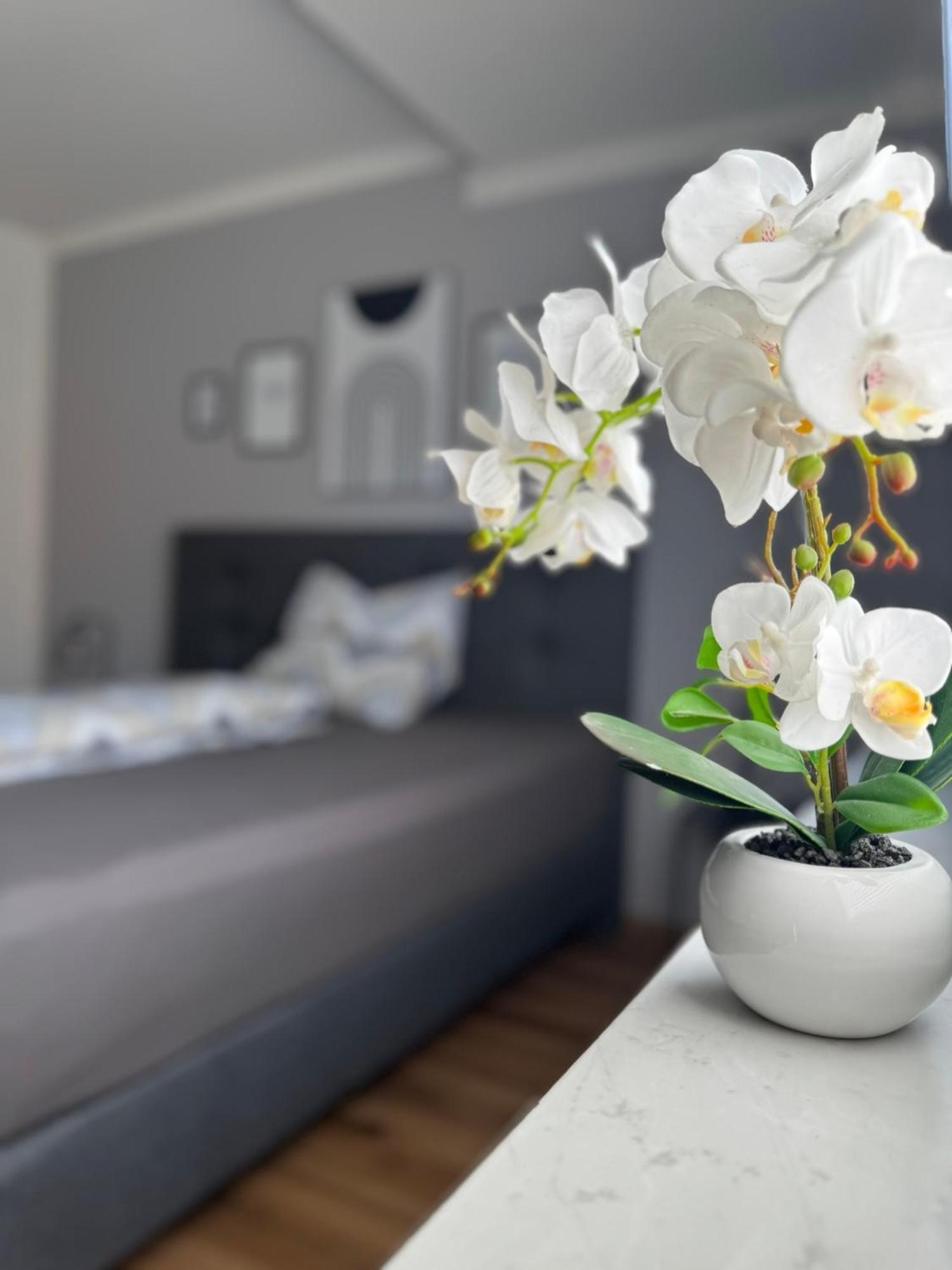 Ferienhaus Hunsrueckliebe Liederbach  Eksteriør billede
