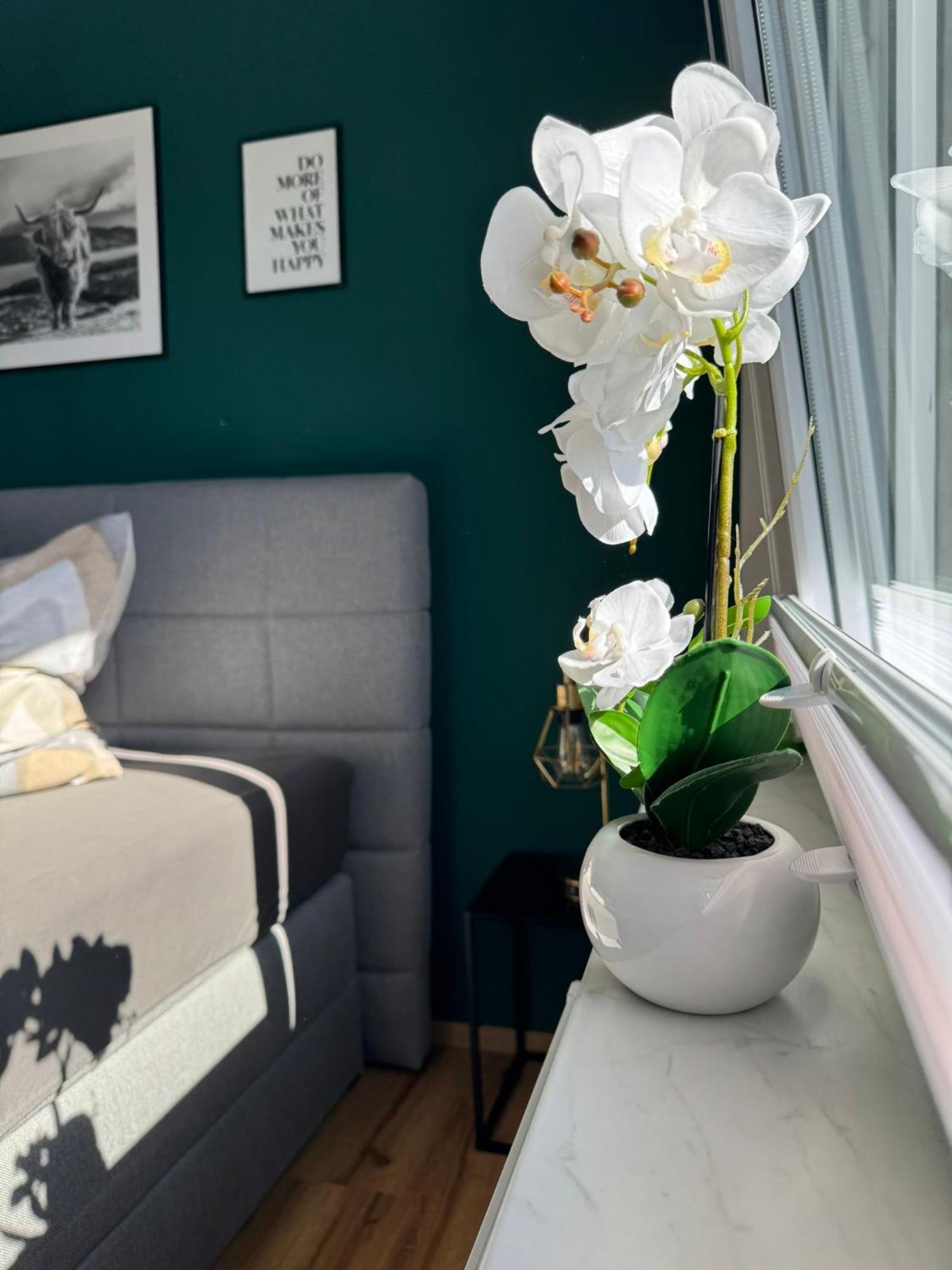 Ferienhaus Hunsrueckliebe Liederbach  Eksteriør billede